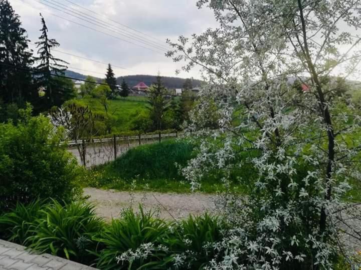 Pensiunea Valurile Bistritei Vatra Dornei Luaran gambar